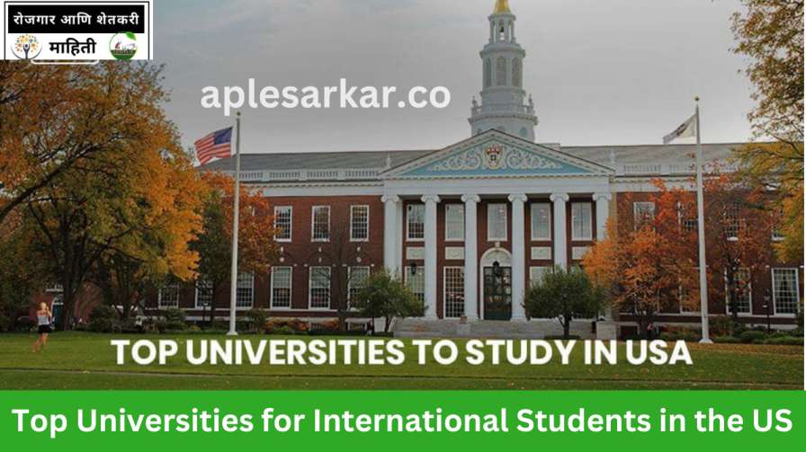 Top Universities for International Students in the US