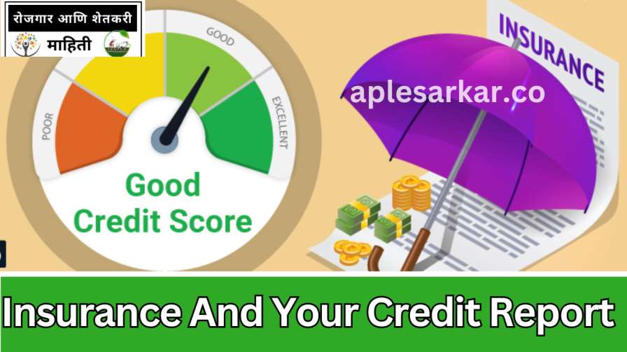 Insurance And Your Credit Report