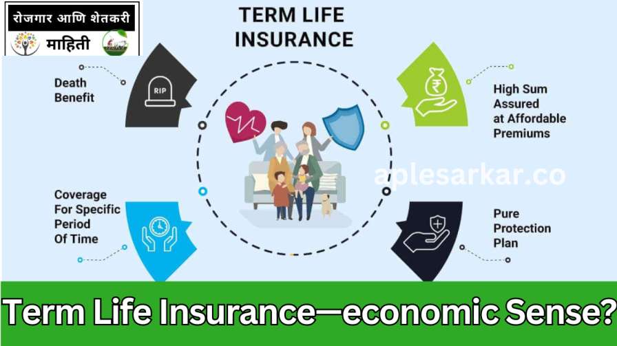 Term Life Insurance