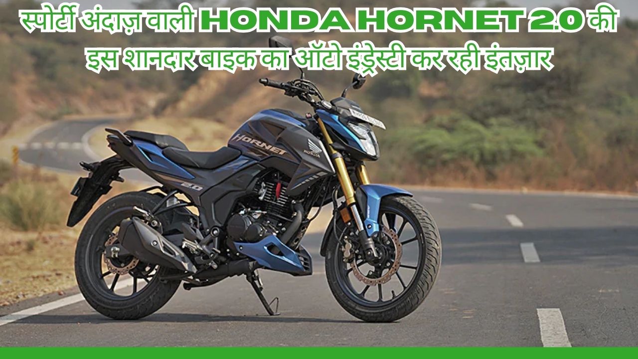 Honda Hornet 2.0